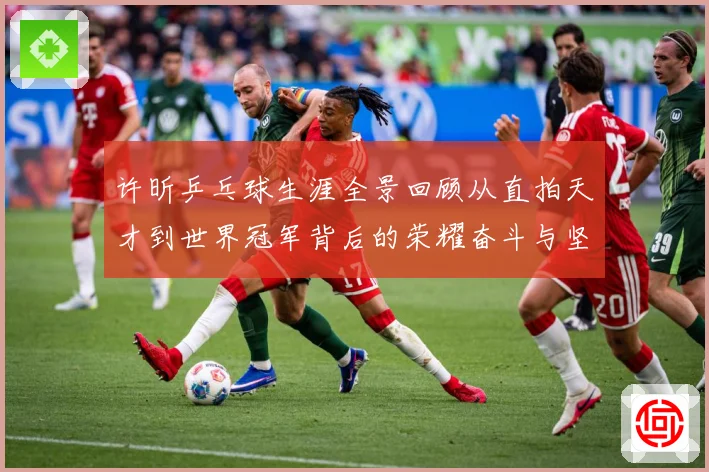 许昕乒乓球生涯全景回顾从直拍天才到世界冠军背后的荣耀奋斗与坚持之路-深度解析