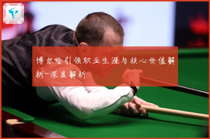 博尔哈引领职业生涯与核心价值解析-深度解析