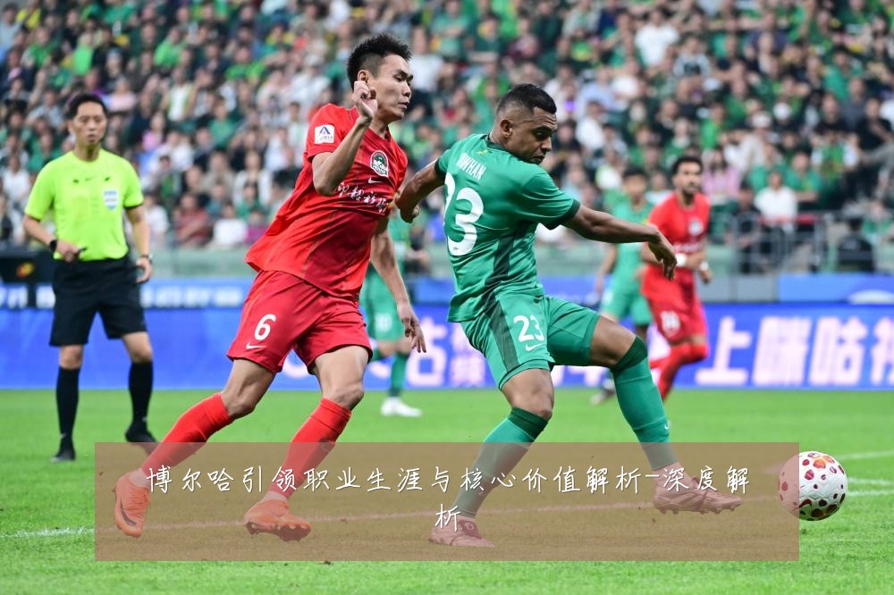 博尔哈引领职业生涯与核心价值解析-深度解析
