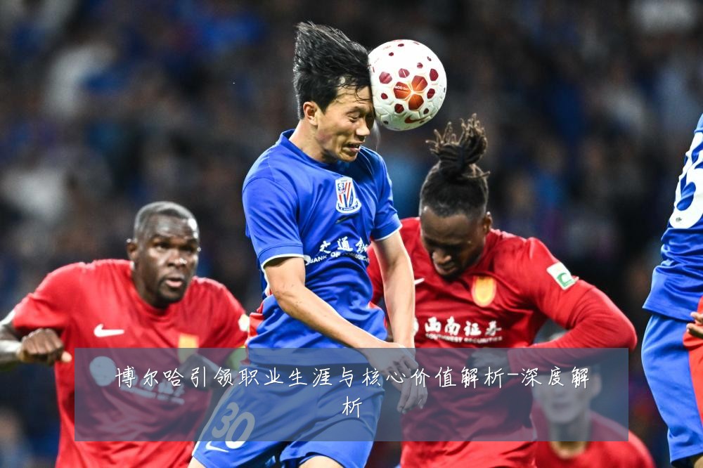 博尔哈引领职业生涯与核心价值解析-深度解析